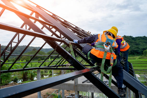 Best Roof Gutter Cleaning  in Washington, DC